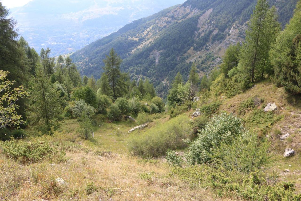 Appartement Au Depart Des Remontees Mecaniques - Briancon מראה חיצוני תמונה